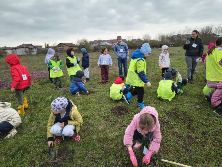 plantare-pomi-2