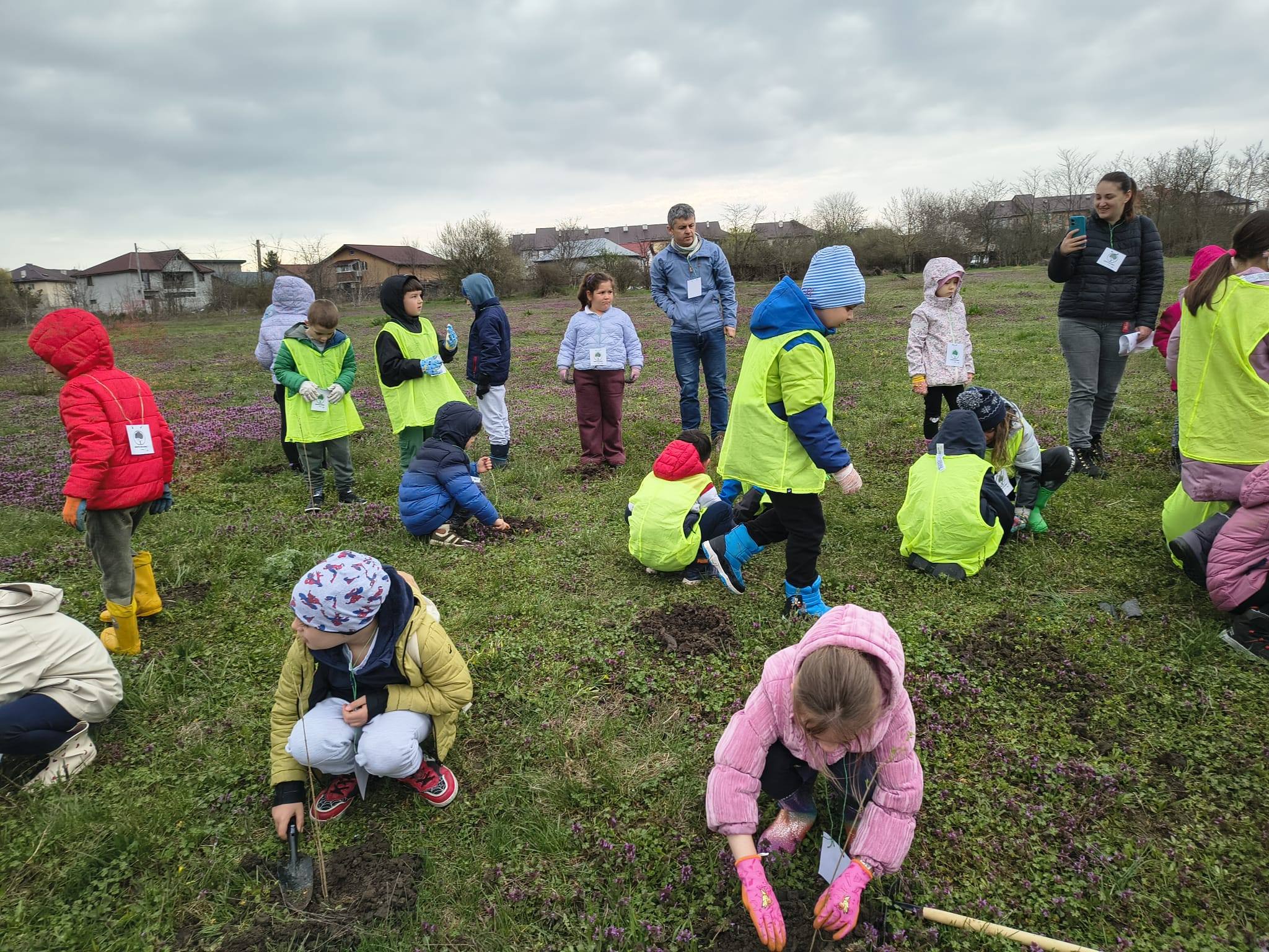 plantare-pomi-2